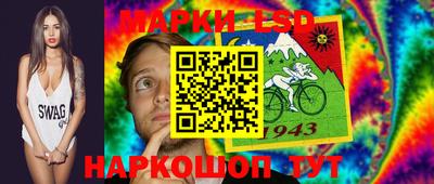 шишки Кимры