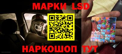 шишки Кимры