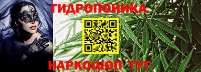 шишки Кимры