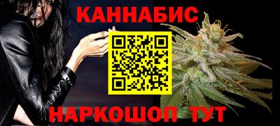 шишки Кимры