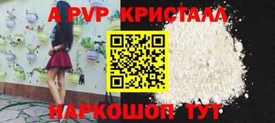 шишки Кимры
